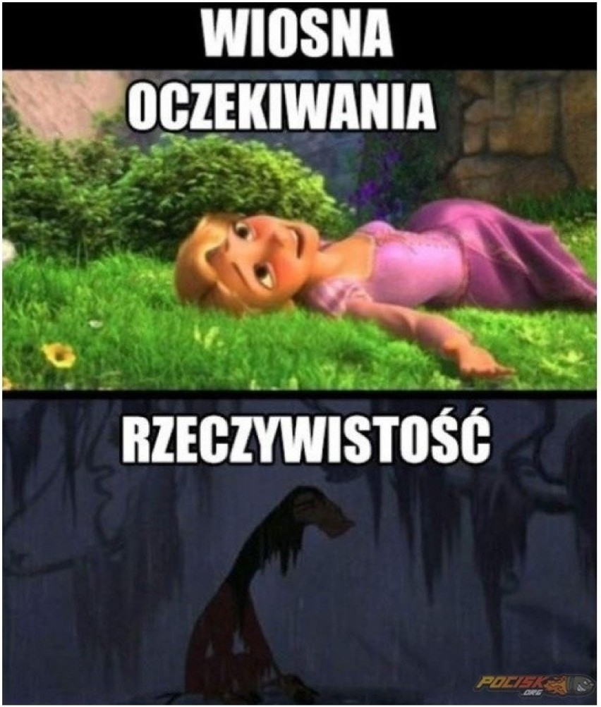 Ładną mamy jesień tej wiosny... Zobacz najlepsze memy o tym, co dzieje się za oknem 