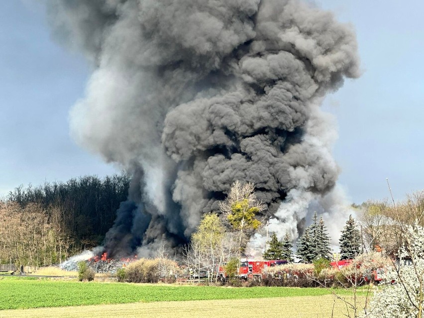 Wielki pożar składowiska opon w Koninie. Z ogniem walczy 50 zastępów straży pożarnej. Czarna chmura dymu nad miastem [WIDEO]