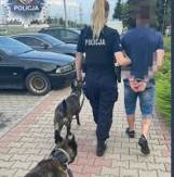 Polkowice: Policyjny patrol z psem zatrzymał poszukiwanego mężczyznę