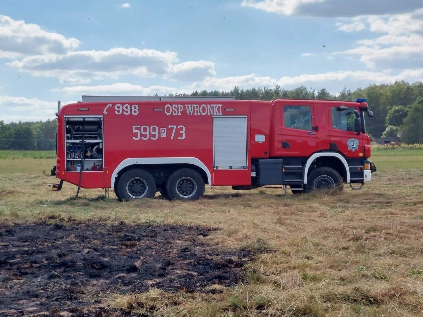 Susza nie odpuszcza, nadal wystarczy iskra by doszło do pożaru [FOTO]