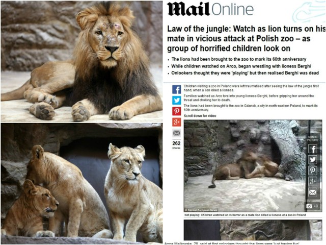 Daily Mail pisze o tragedii w gdańskim zoo