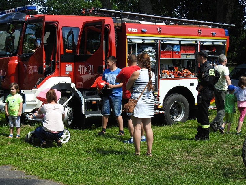 Koncert zespołu Luxtorpeda. Publiczność pogowała