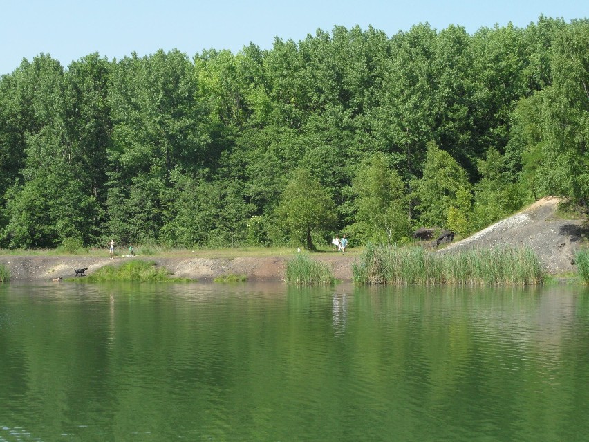 Dzikie kąpieliska w Świętochłowicach