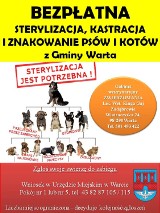 Gmina Warta oferuje bezpłatne zabiegi dla psów i kotów. Liczba miejsc ograniczona
