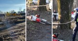 Wypadek śmiertelny w gminie Dobrzyń nad Wisłą. Nie żyje motocyklista [zdjęcia]