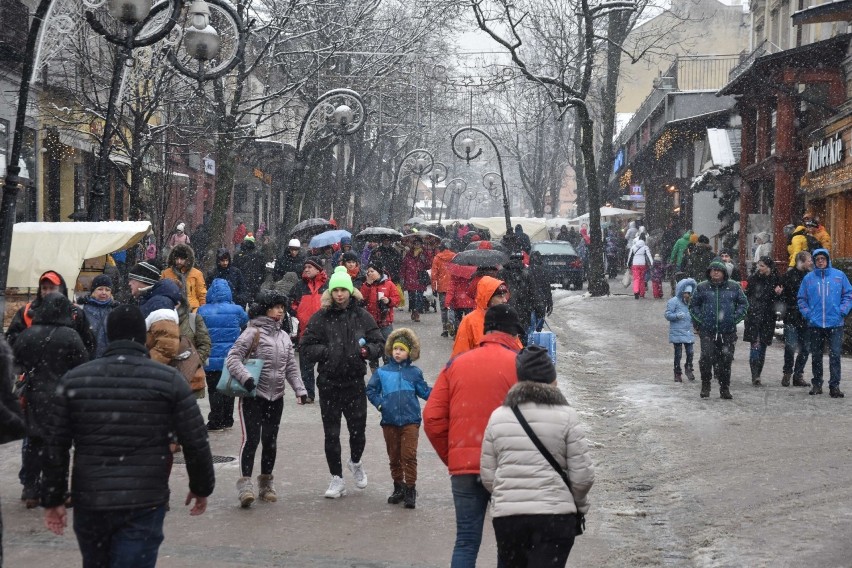 Zakopane. Turyści przyjeżdżają, coraz większy tłum i korki [ZDJĘCIA]