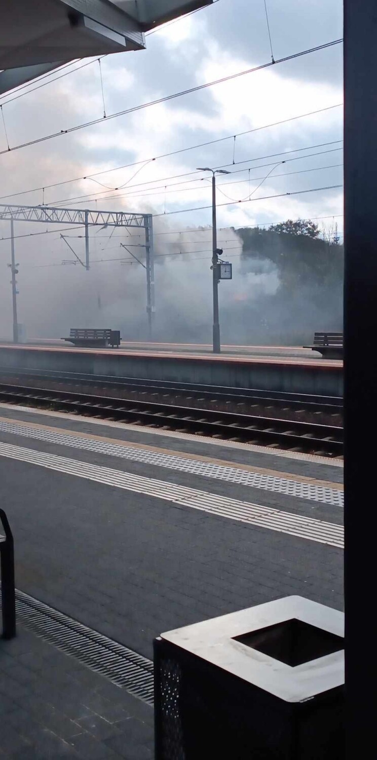 SKM Orłowo przykryte dymem. Pożar w pobliżu stacji kolei
