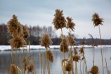 Wymysłówek zimą w obiektywie Włodzimierza Tyczyńskiego, fotografa-amatora z Radomska. ZDJĘCIA