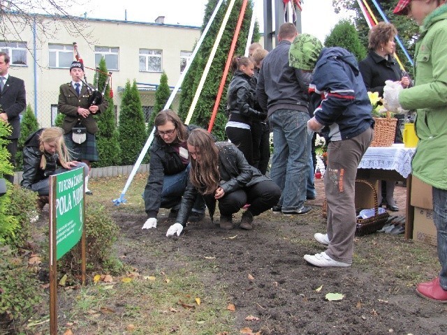 Myszków: Posadzili żonkile na Polach Nadziei