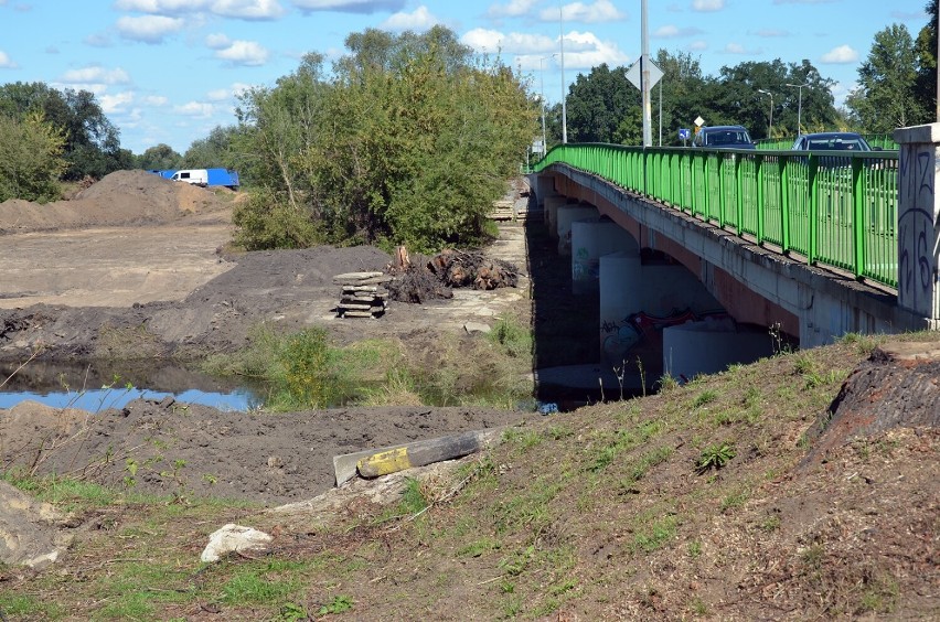 Trwa budowa nasypu na starej Odrze w Głogowie