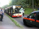 Gdańsk: Bus wjechał pod autobus na Dąbrowskiego