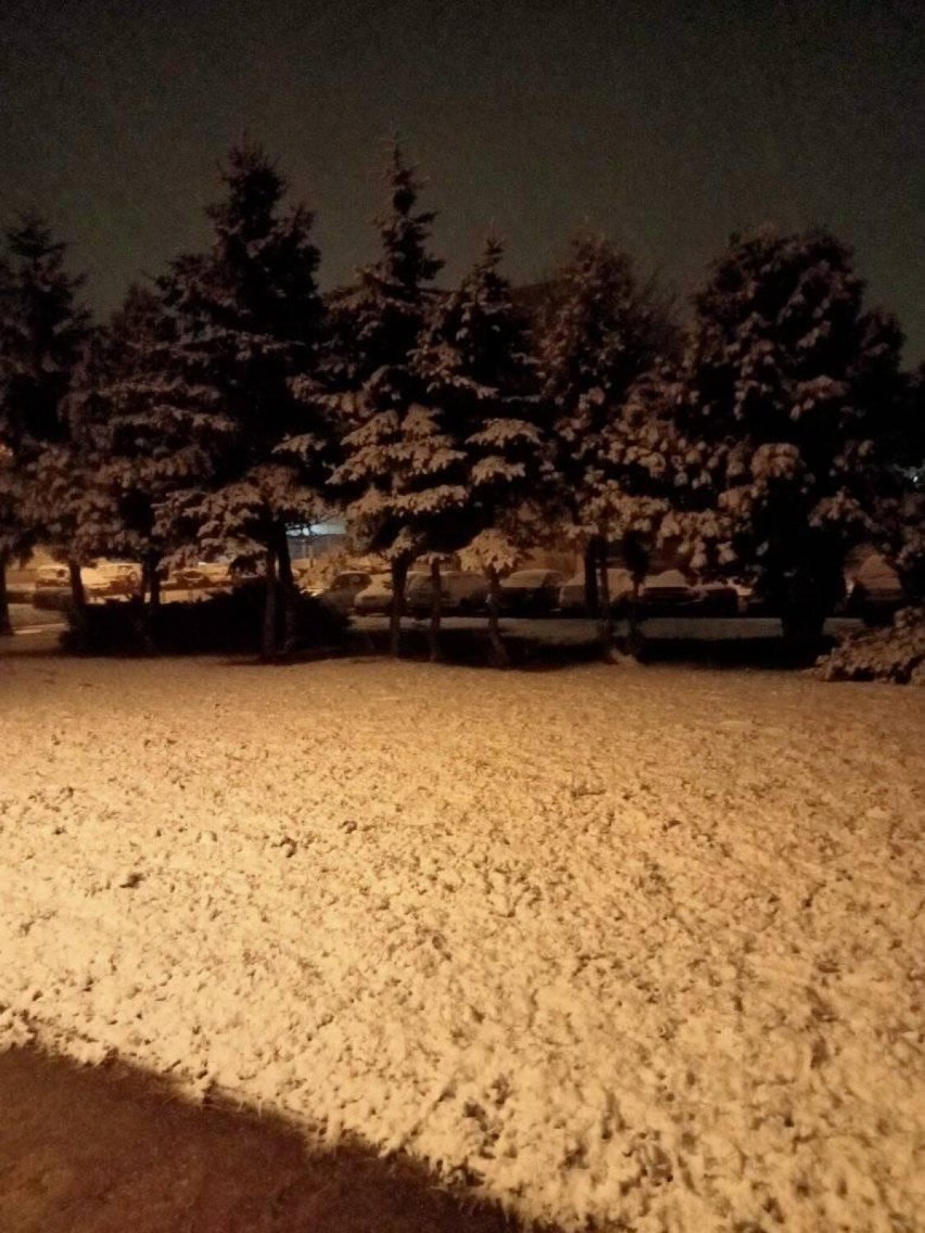 Powiat Gnieźnieński. Pierwszy śnieg na fotografiach naszych czytelników [FOTO]