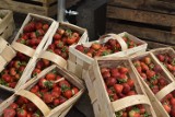 Po ile truskawki w Radomsku? Gdzie można kupić owoce i w jakich cenach? [ZDJĘCIA]
