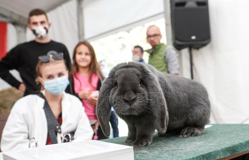 Jesienna Giełda Ogrodnicza w Podkarpackim Ośrodku Doradztwa...