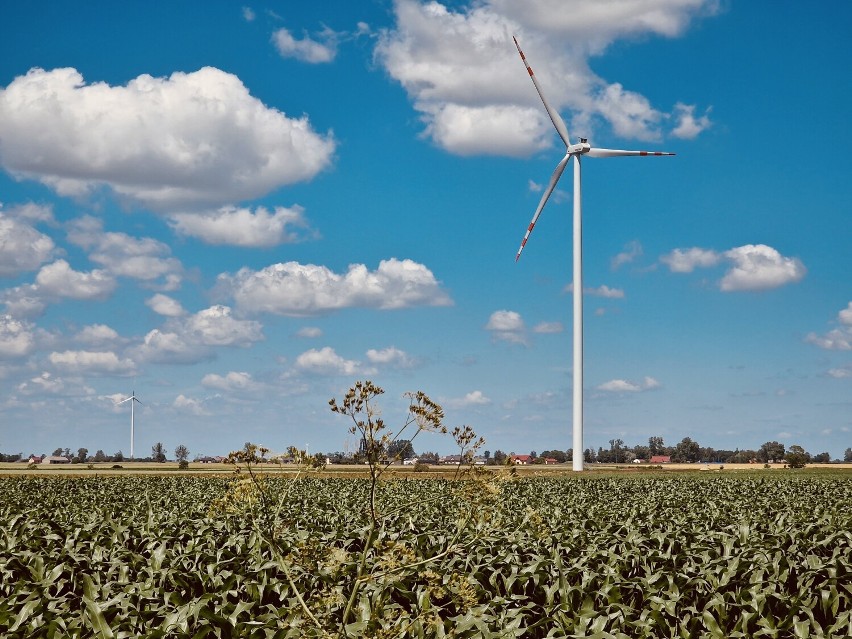 Nowa farma wiatrowa w powiecie tureckim już działa