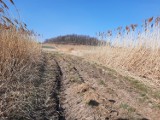 Opolskie rolnictwo ma problem. Nieurodzajne ziemie pójdą pod ugór. Rolników nie stać na nawozy