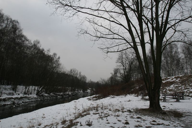 Górnośląsko-Zagłębiowska Metropolia Silesia. Jaworzno ciut inne