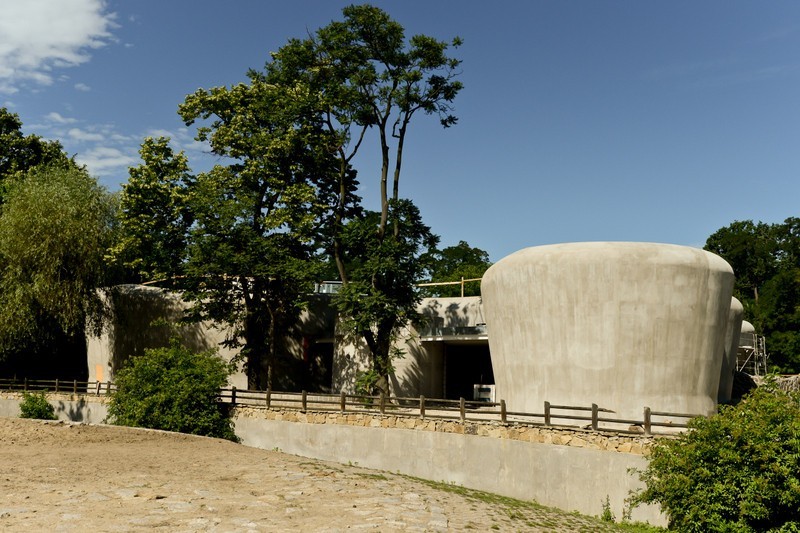 Wrocław: Afrykarium i wybieg dla nosorożców pną się w górę (ZDJĘCIA)