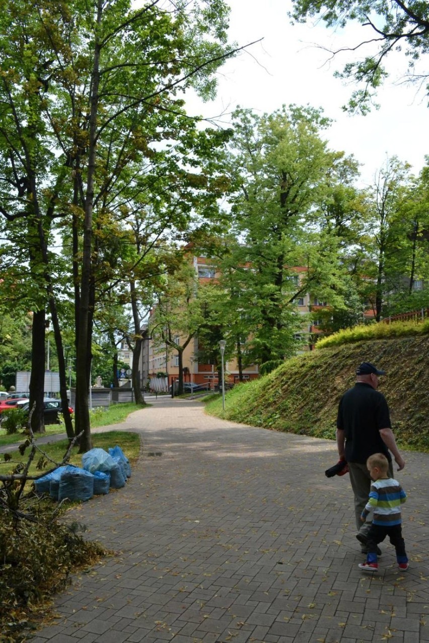 Park Słowackiego w Bielsku-Białej: NIK wskazuje na błędy