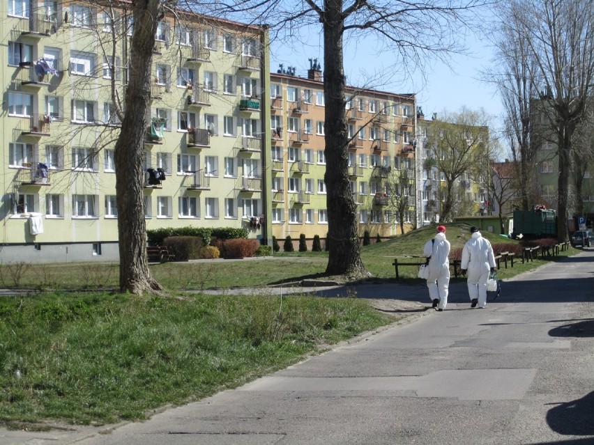 To już codzienny widok na ulicach Ustki. Pracownicy...