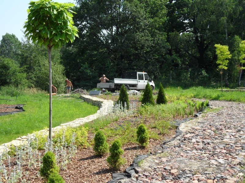 W Śląskim Ogród Botanicznym na Sośniej Górze można znaleźć...