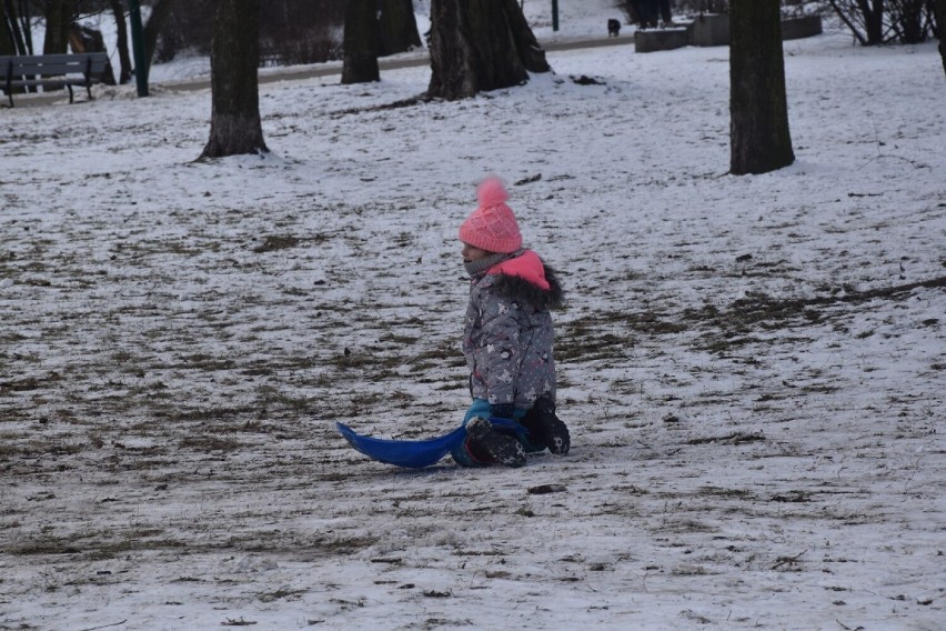 Zimowe szaleństwa w Parku Przyjaźni w Kaliszu. ZDJĘCIA