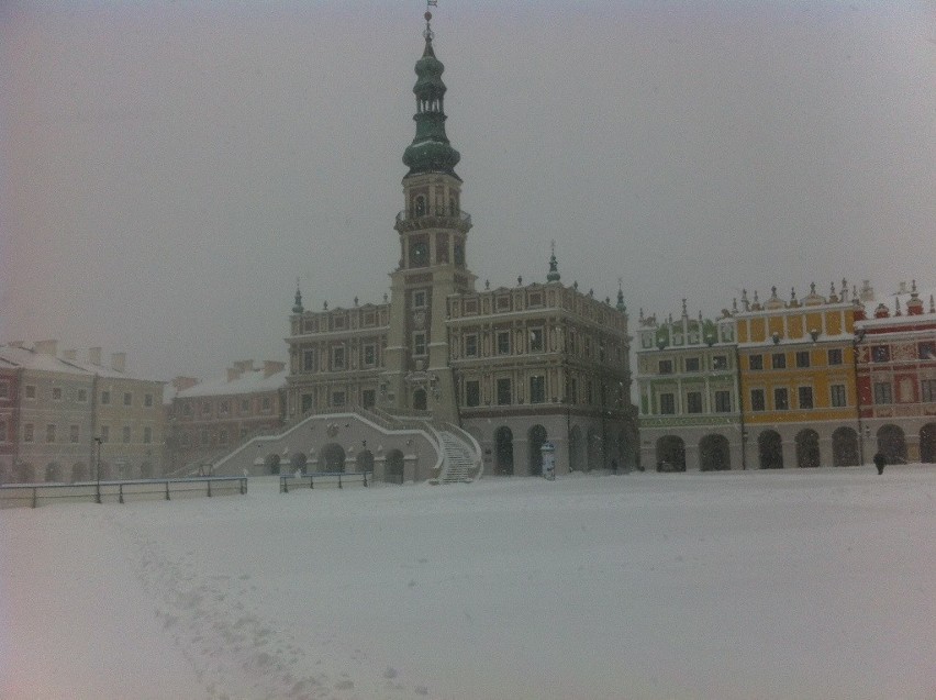 Zamość i region: Zima wróciła, ale najgorsze już za nami. ZDJĘCIA, RELACJA