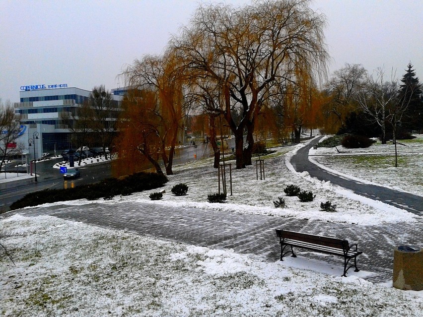 Zima 2015 w Toruniu