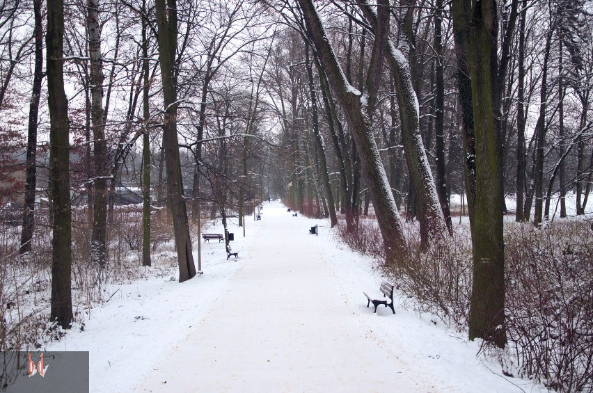 Zimowy spacer po Opolu [ZDJĘCIA]