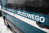 Kraków. Autobus "masakra" woził pasażerów. Fotele przytwierdzone do podłogi drewnianymi kołkami na trytytkach