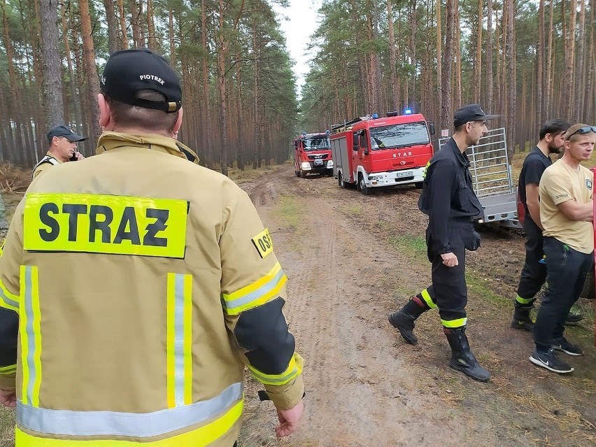 Poszukiwania zaginionej 60-latki trwały dwie godziny.