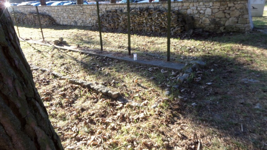 Cmentarz  wojenny żołnierzy z I wojny światowej w Kotowicach  ZDJĘCIA