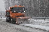 Czy zima zaskoczy "drogowców" ze Zgorzelca? Dziś prognozowane są pierwsze opady śniegu! 