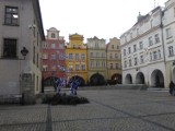 Jelenia Góra rynek. Czy rzeźba jelenia ma zostać w rynku? Mieszkańcy głosują