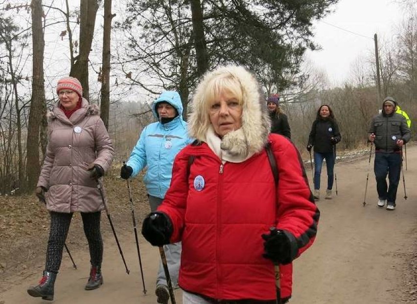 W sobotę odbył się VI Zimowy rajd Nordic Walking do Rożnowic