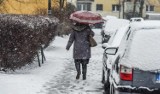 Akcja Zima 2018/2019 w Żorach. Gdzie zgłaszać problemy z utrzymaniem dróg?