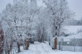 Kwidzyn i okolice w zimowej szacie. Zapraszamy do galerii zdjęć wykonanych przez Christophorosa Papasa