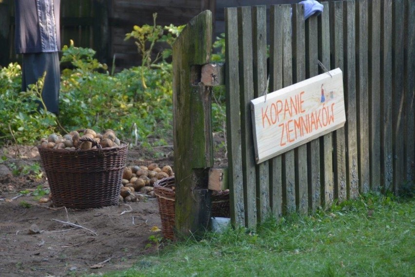 Smaki jesieni w skansenie w Olsztynku