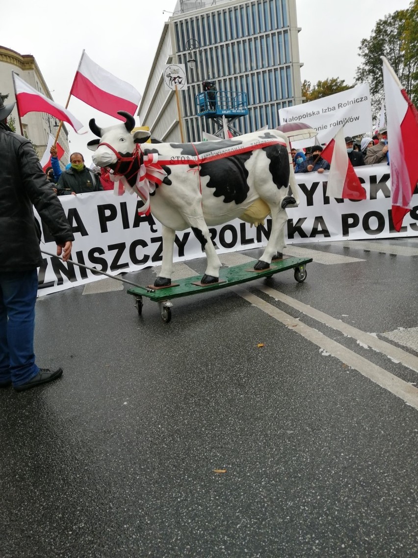 Protest rolników w Warszawie. W manifestacji udziało wzięło 70 tysięcy osób