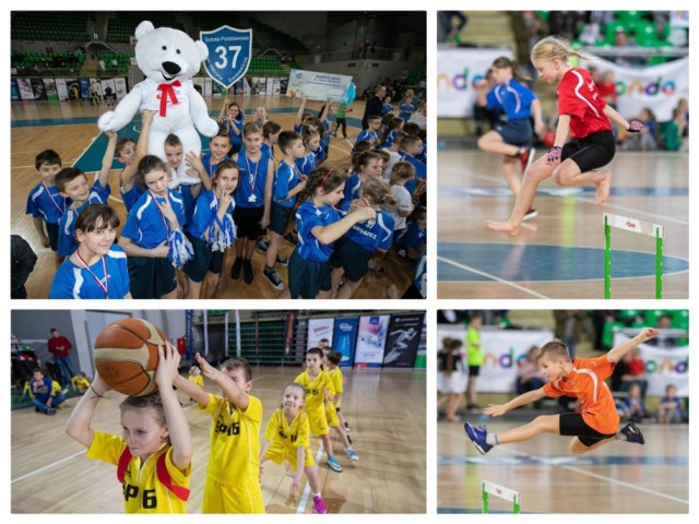 Biały Miś to najstarszy i najpopularniejszy turniej sportowy dla uczniów szkół podstawowych w Bydgoszczy. W tym roku do udziału w turnieju Białego Misia zaproszono 18 szkół podstawowych.

Finał turnieju odbył się wczoraj, w środę 26 lutego, w Hali Sportowo-Widowiskowej „Łuczniczka” w Bydgoszczy.

Szkoła Podstawowa nr 37 okazała się najlepsza w finale 51. edycji Białego Misia! We wtorkowym finale rozegranym w hali "Łuczniczka" pokonała reprezentacje SP 16, SP 64 i SP 48. 

Zwycięzca turnieju Biały Miś awansuje do finału wojewódzkiego, czyli turnieju Sprawnego Misia. W Sprawnym Misiu zmierzą się drużyny z Bydgoszczy, Torunia, Włocławka, Inowrocławia i Grudziądza (wielki finał odbędzie się w marcu 2019 r. w Grudziądzu).

To był najbardziej zacięty finał od lat. Do ostatnich metrów ostatniej konkurencji ważyły się losy zwycięstwa. Wszystkie cztery szkoły stworzyły znakomite widowisko, liderzy finału zmieniali się niemal po każdej rundzie, a na trybunach doping był wyjątkowo gorący. 

Reprezentacja SP 37 bardzo dobrze rozpoczęła zawody, potem zaliczyła słabszą rundę, a od klas III rozpędzała się z każdą kolejną konkurencją. Uczniowie "37" najlepiej wytrzymali nerwową końcówkę, zapewniając sobie pierwsze w historii swoich startów zwycięstwo w turnieju Białego Misia.

Wyniki - 51. finał Białego Misia
1. SP 37 - 88 punktów (8,4,6,2,2,4,8,8,8,6,4,6,8,8,6)
2. SP 16 - 84 punkty (6,6,4,4,8,8,6,4,2,8,8,8,2,2,8)
3. SP 64 - 76 punktów (4,8,8,6,4,6,4,2,6,4,6,4,6,6,4)
4. SP 48 - 52 punkty (2,2,2,8,6,2,2,6,4,2,2,2,4,6,2)

Uczniom, nauczycielom i dyrekcji SP 37 serdecznie gratulujemy wygranej. Pozostałym finalistom z SP 16, SP 64 i SP 48 znakomitej walki od pierwszych do ostatnich metrów. 

Zobaczcie finał Białego Misia na zdjęciach >>> 


Flash Info odcinek 3 - najważniejsze informacje z Kujaw i Pomorza.

