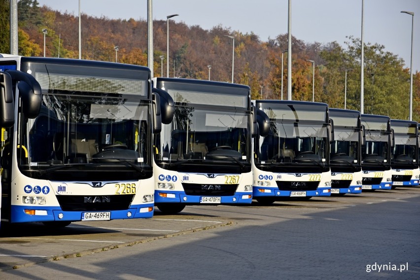 55 nowych autobusów na ulicach Gdyni. Zastąpią starsze pojazdy. To największa wymiana taboru w historii gdyńskiej komunikacji miejskiej 