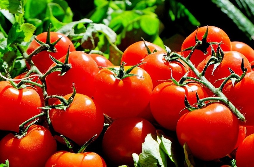 Wysoka zawartość likopenu w soku z pomidorów może powodować...