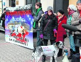 Pomóżmy ratować psy na Ukrainie!