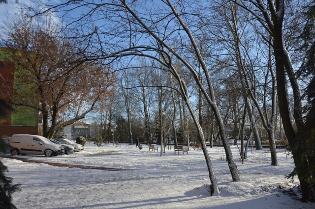 Zima w Bełchatowie i regionie, grudzień 2021