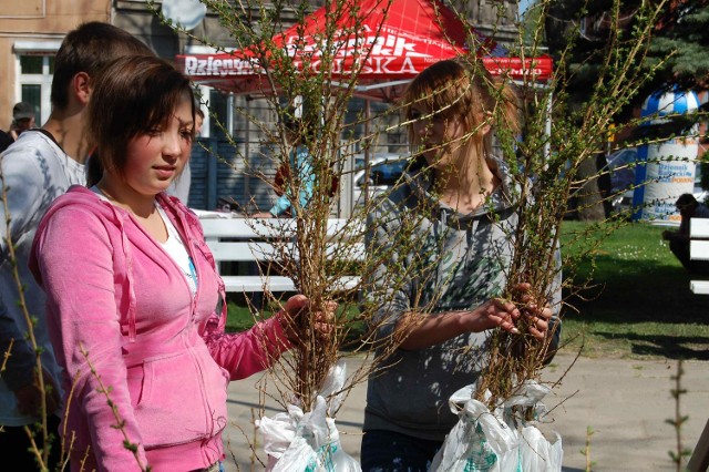 Tym razem nasza akcja Drzewko za makulaturę na osiedlu Suchostrzygi