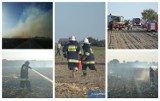 Pożar pola kukurydzy w powiecie włocławskim. 4 zastępy straży pożarnej w akcji [zdjęcia, wideo]