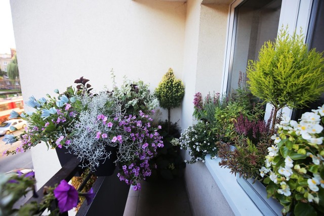 Agnieszka Połczyńska-Trojak została zwyciężczynią konkursu na najpiękniejszy balkon. Laureatka wraz z rodziną mieszka na Siedlcach.