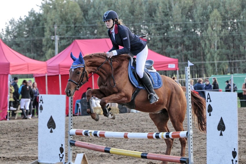 Zawody jeździeckie w Stajni MGT Horses w Starej Wiśniewce w ramach II Hubertusa 2022