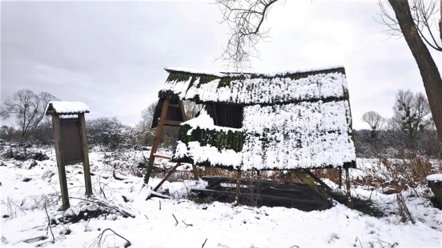 Tak wygląda wiata wypoczynkowa dla kajakarzy w pobliżu Modrzewia