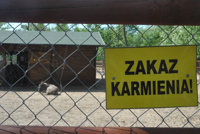 Zwierząt w Mini Zoo w Lesznie nie wolno dokarmiać